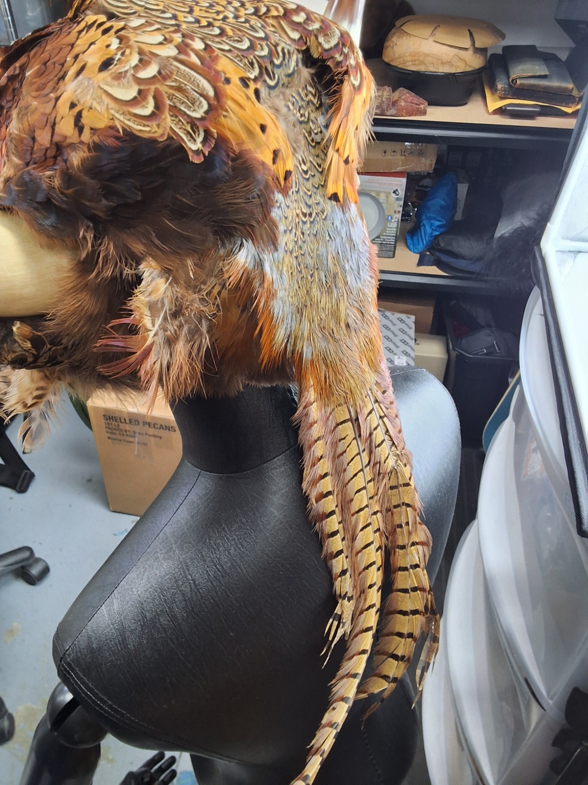 Novelty Taxidermy Leather Pheasant Viking Bomber Hat