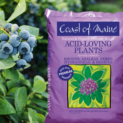 Coast of Maine Organic Potting Soil for Acid Loving Plants, 20 Qt Bag (10 Pack)