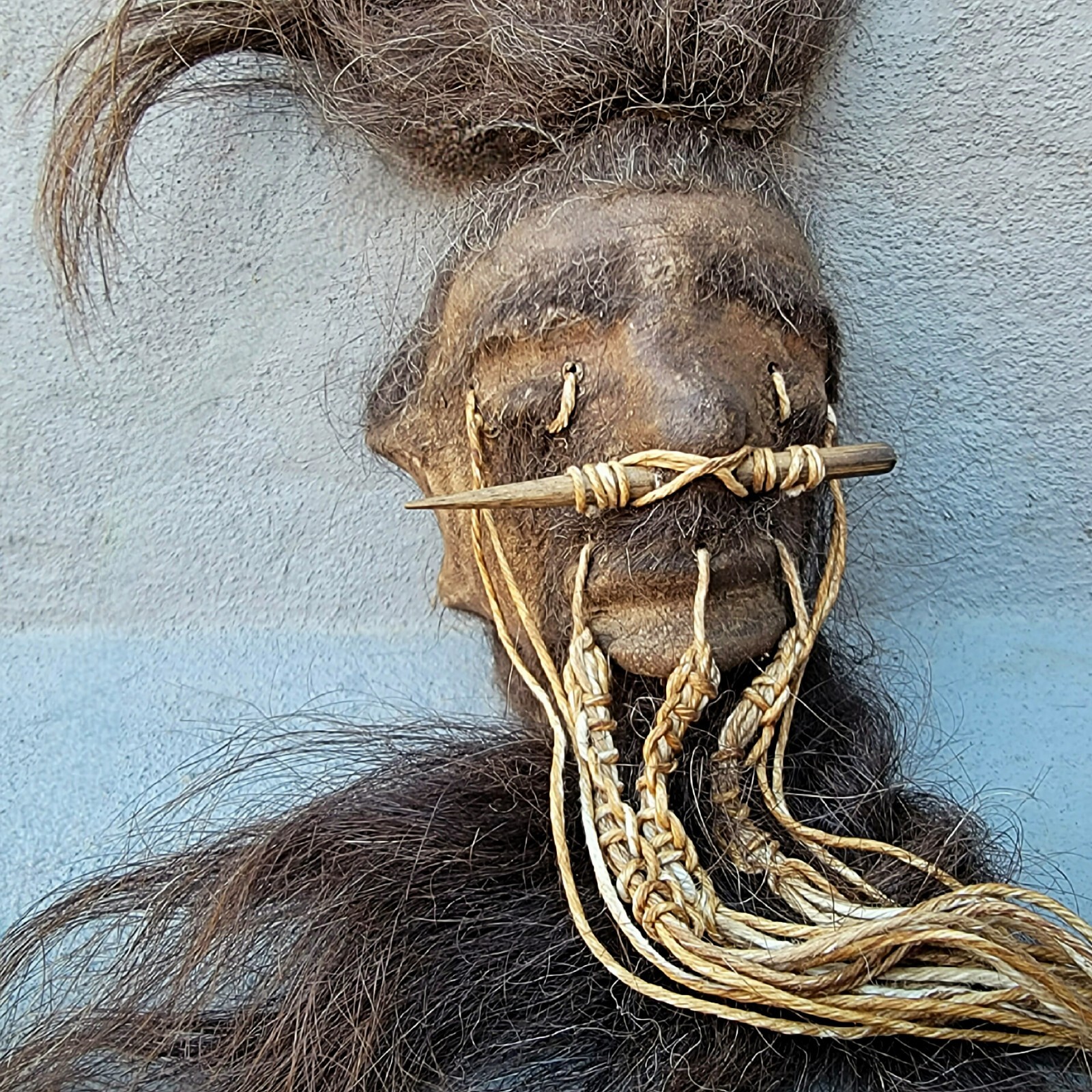 Shrunken Head, Oddities Curiosities, Real Leather and Hair, Medium, Lama alpaca