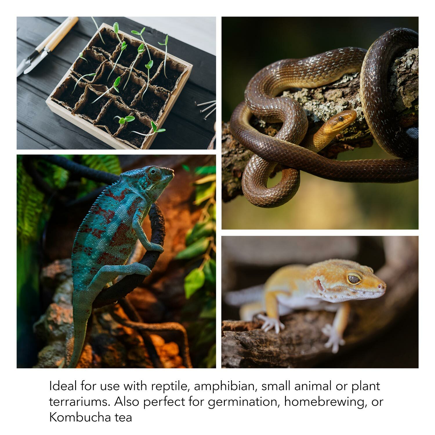 BN-LINK Reptile Heat Mat Under Tank Heater Terrarium Warmer Heating Pad For Pets