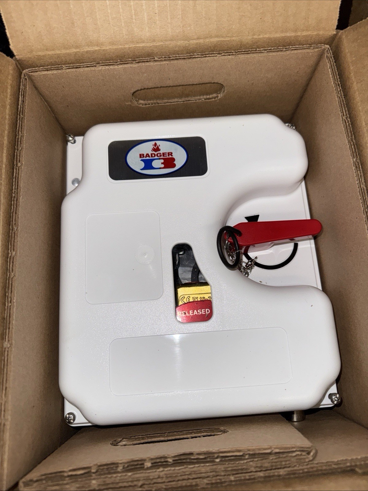 Badger Fire system control head