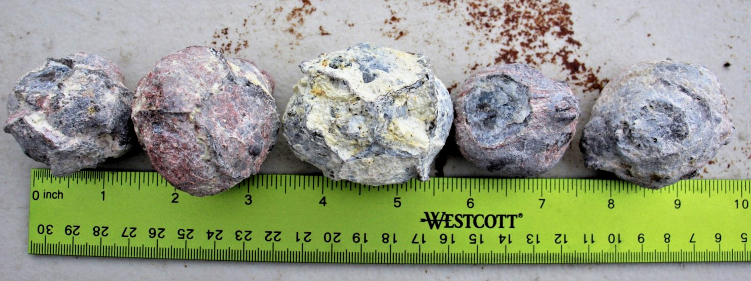 One Pound, 5-7 Whole Dugway Geodes • 1.5" - 2.0" diam.