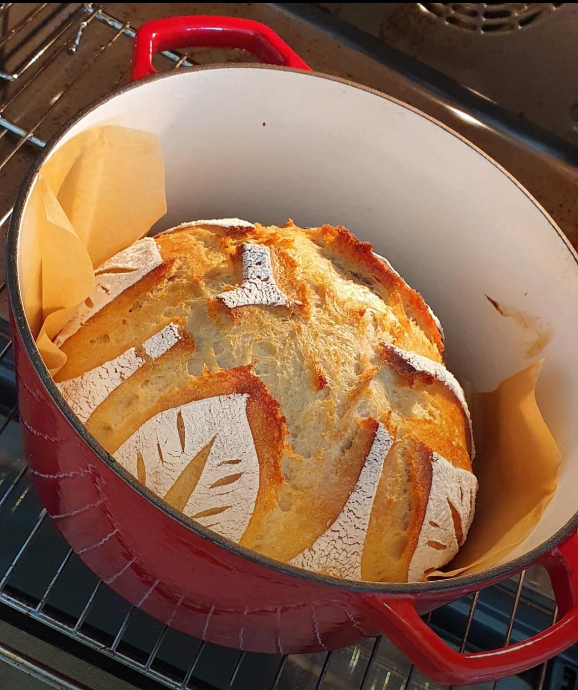 1000 year old ITALY Sourdough Starter - Camaldoli Monastery | Organic Dehydrated