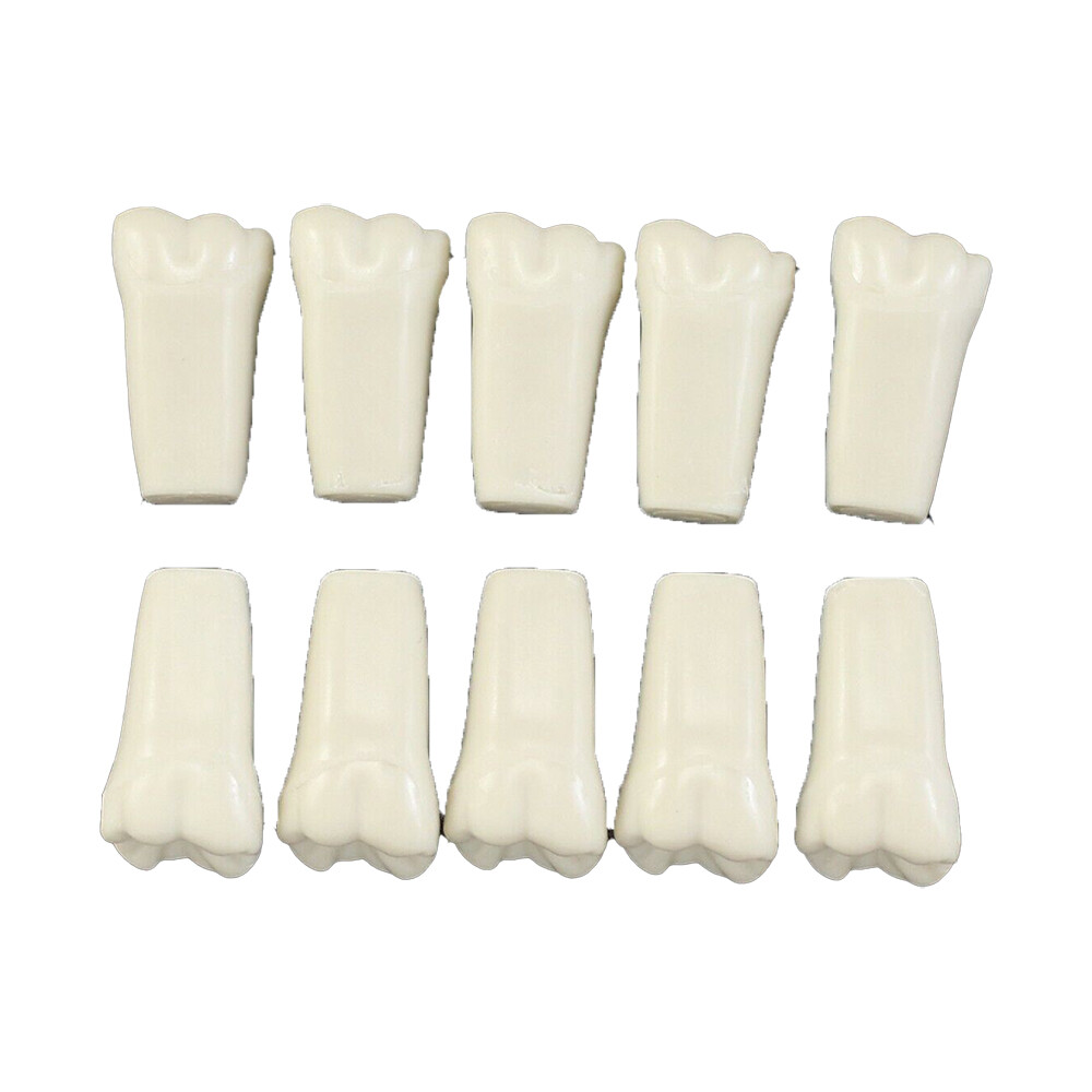 Ivorine Teeth For Typodont 860 - 5 or 10 PACK Compatible with Columbia 860 Brand