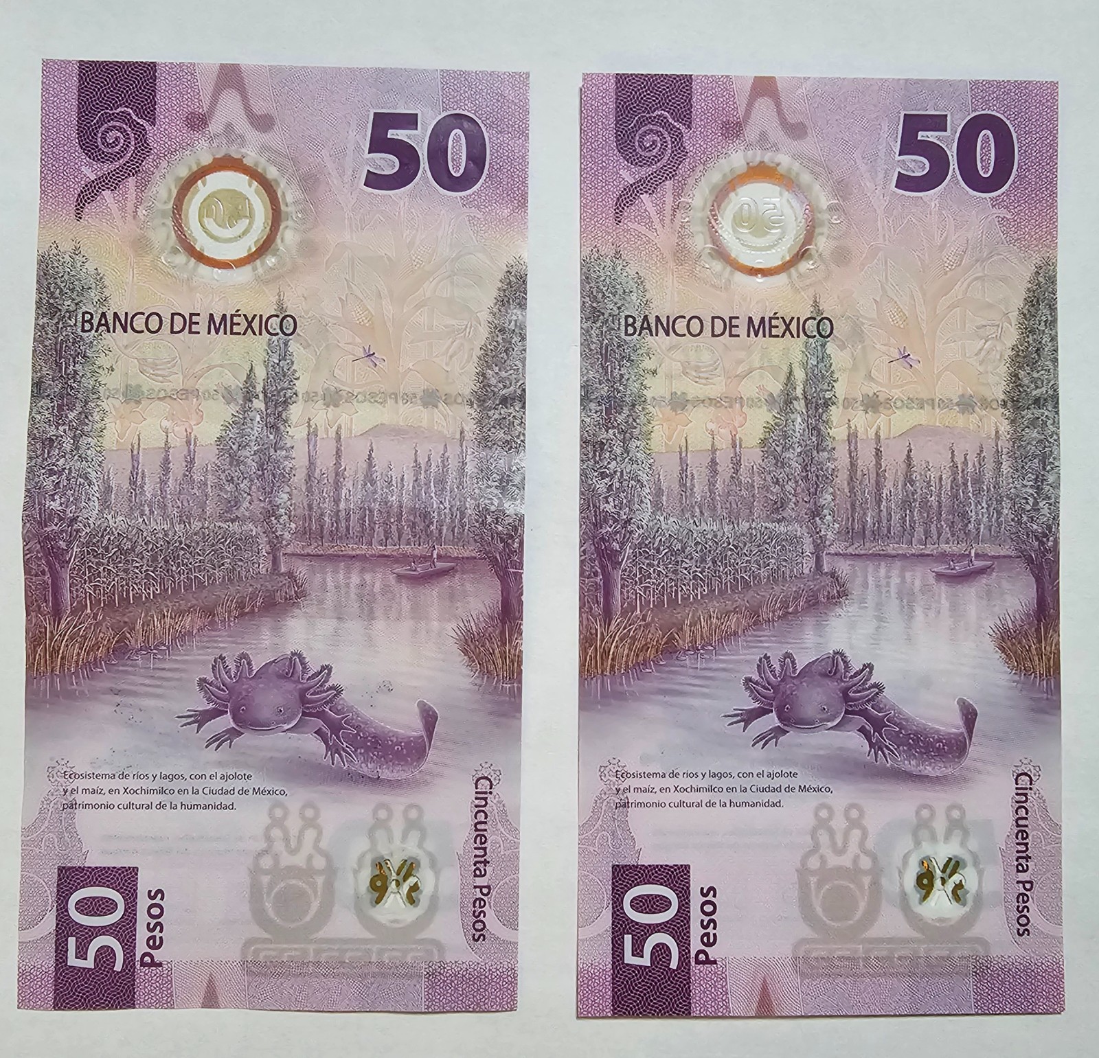 LOT OF 11 MIX BANKNOTE MEXICO 1998,1999,2018,2019,2021,2022.