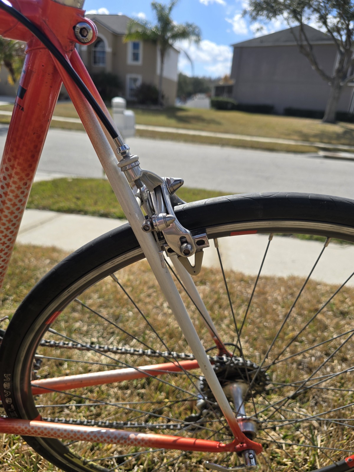 Gianni Motta Bike with Campagnolo Parts 53cm