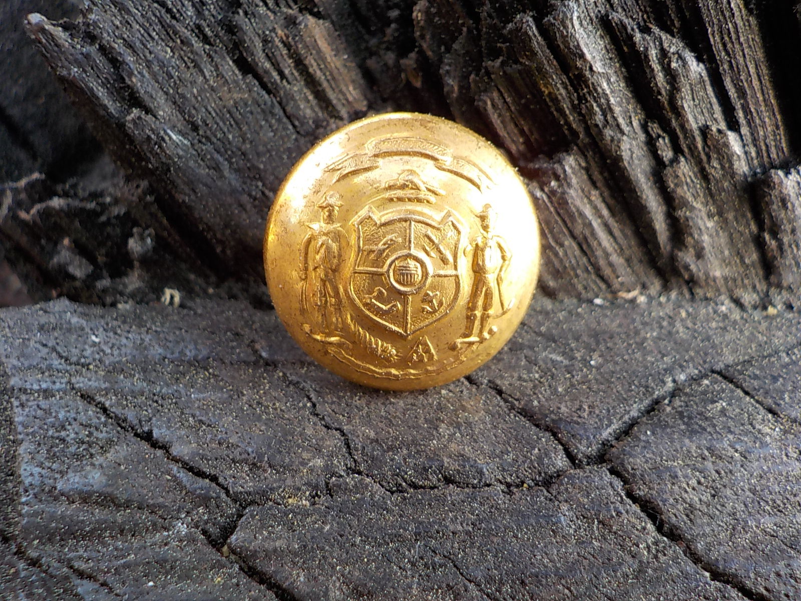 Old Rare Vintage Antique War Relic Wisconsin State Seal Vest Button Free Case