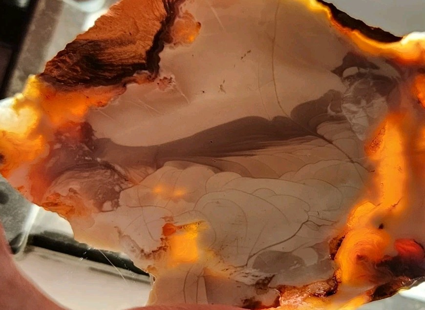 Buchanan Thunderegg - Porcelain Jasper With Orbs High Quality Lapidary, OR. 52g