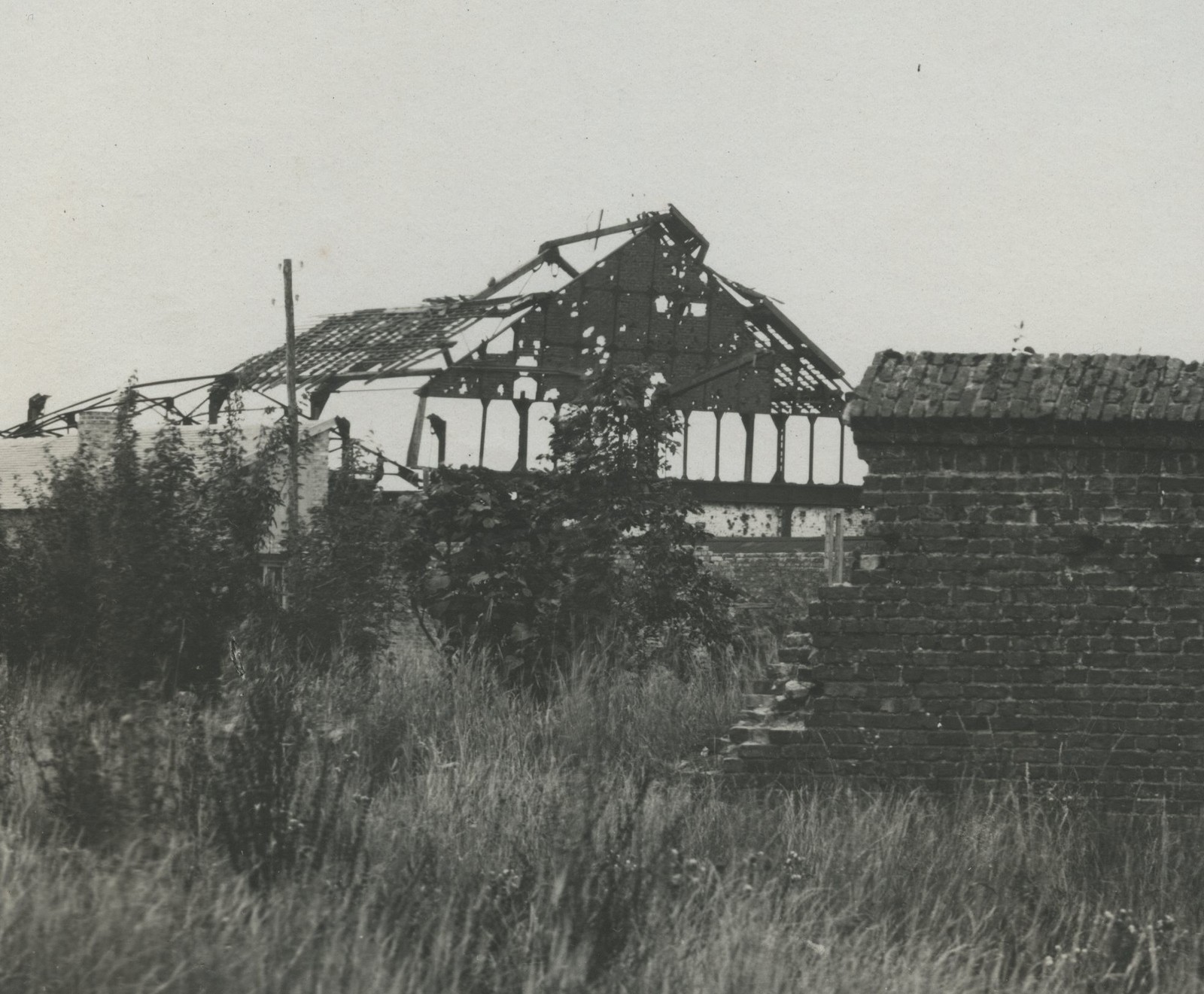 Vimy France WW1 Destruction Large Panorama Photo
