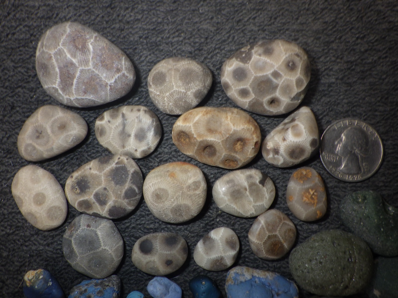 Tiny Petoskey Stones and Leland Blue Stones