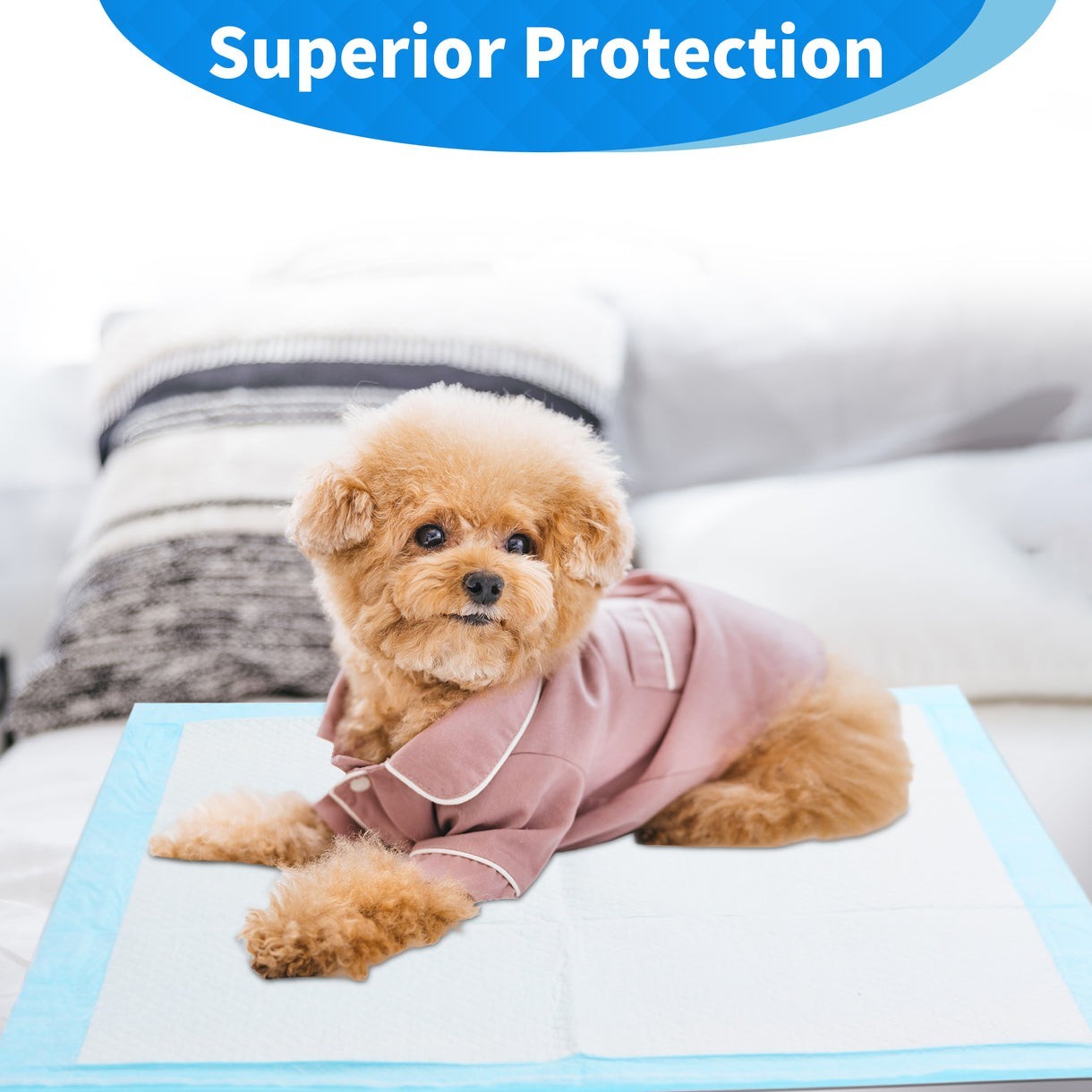 80 Pack 22"x22" Ultra Absorbent Small Pee Pads Pet Underpads Puppy Dog Training