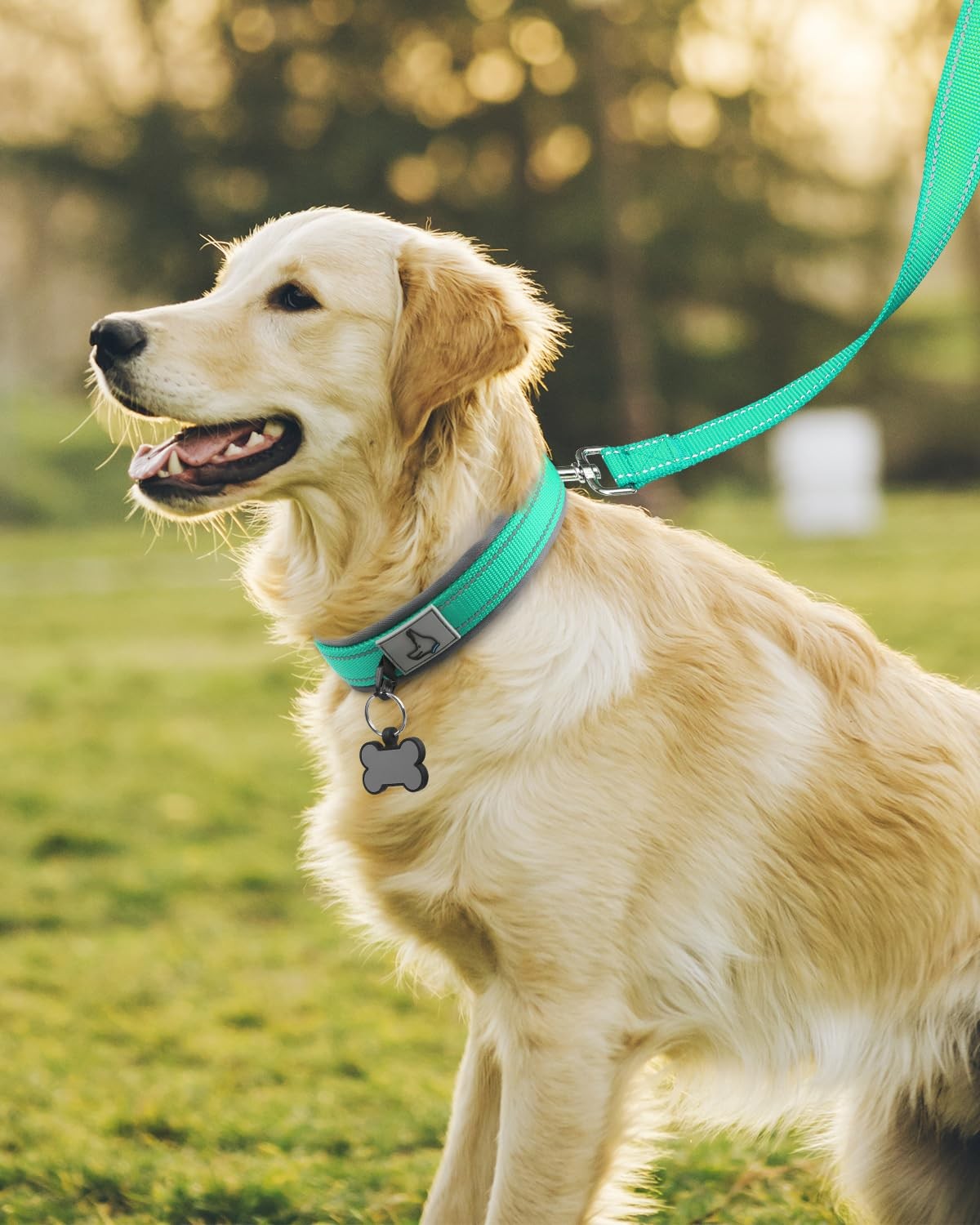 Joytale Ultra Wide Soft Neoprene Padded Nylon Dog Collar, Reflective Collars