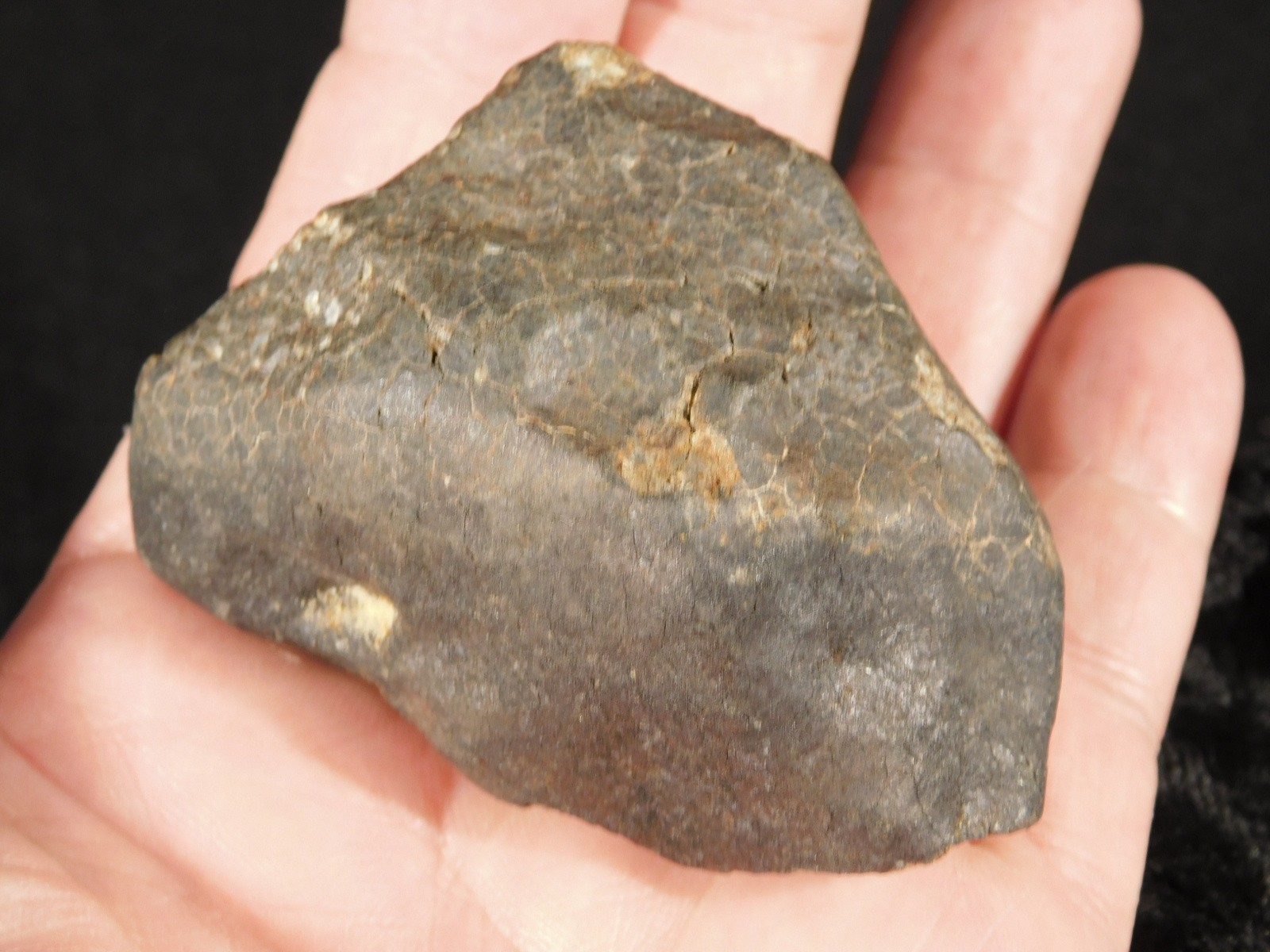 H6 Stony METEORITE Regmaglypts DARK Fusion Crust and Contraction CRACKS! 178gr