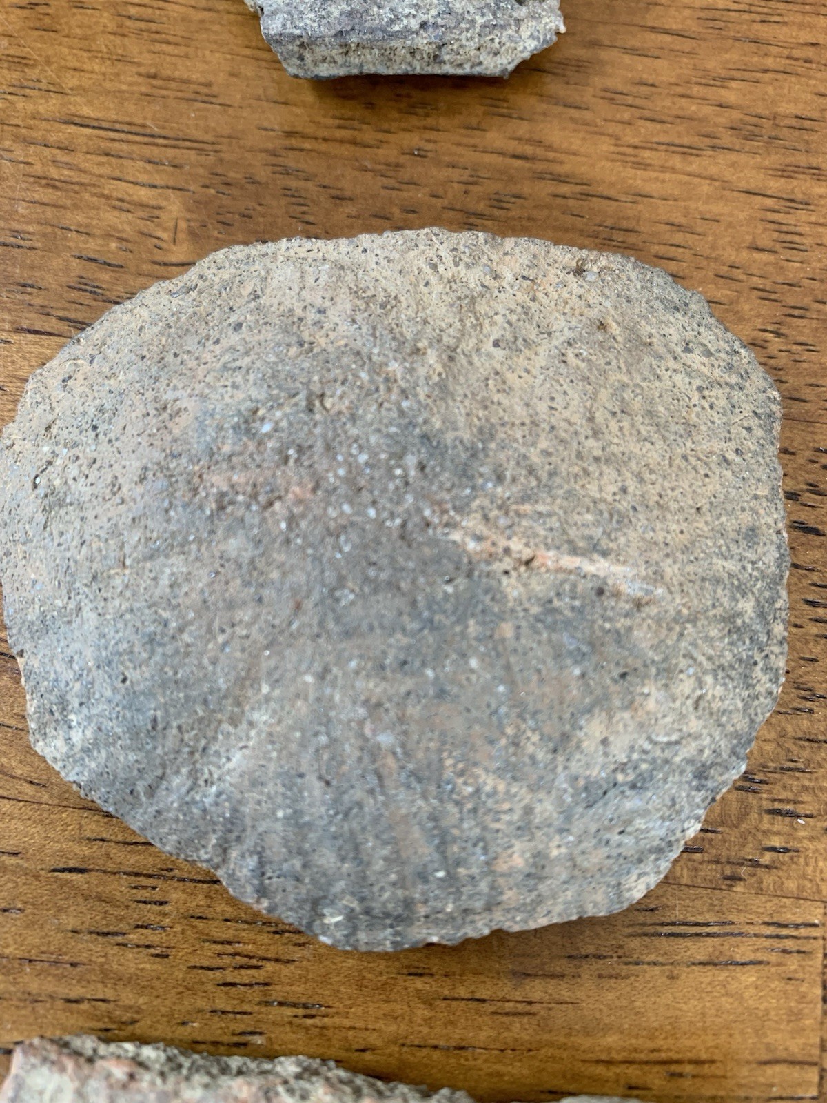 Authentic American Indian Artifacts Found Near Kingstree, SC pottery shards