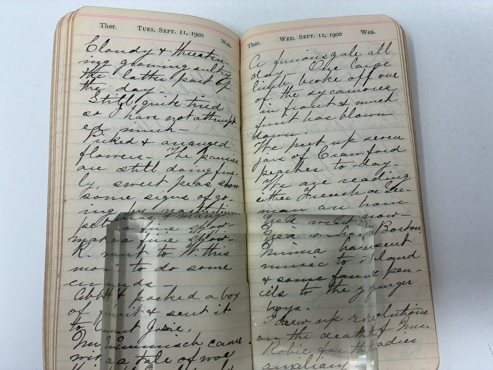 1900 Victorian Woman Wife & Mother Handwritten Diary with Her Life Memorial!