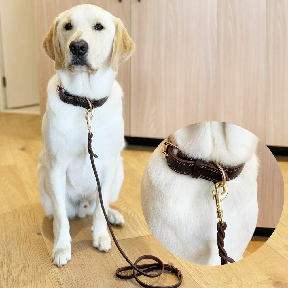 Genuine Leather Dog Leash Braided Heavy Duty Training Lead for Medium Large Dogs