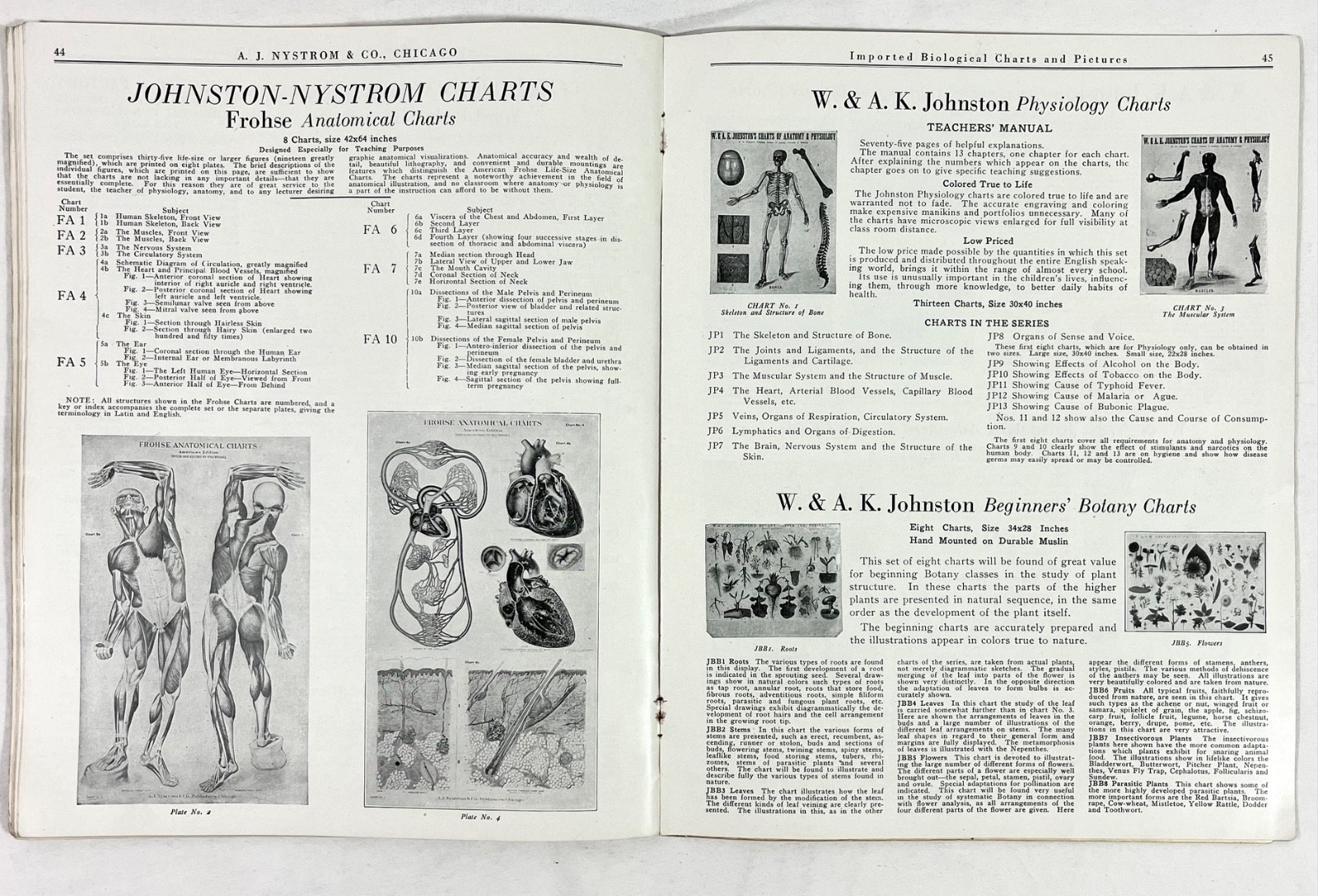 Rare 1928 A.J Nystrom Sales Catalog FB-28 Europe Charts Biology Medical Anatomy