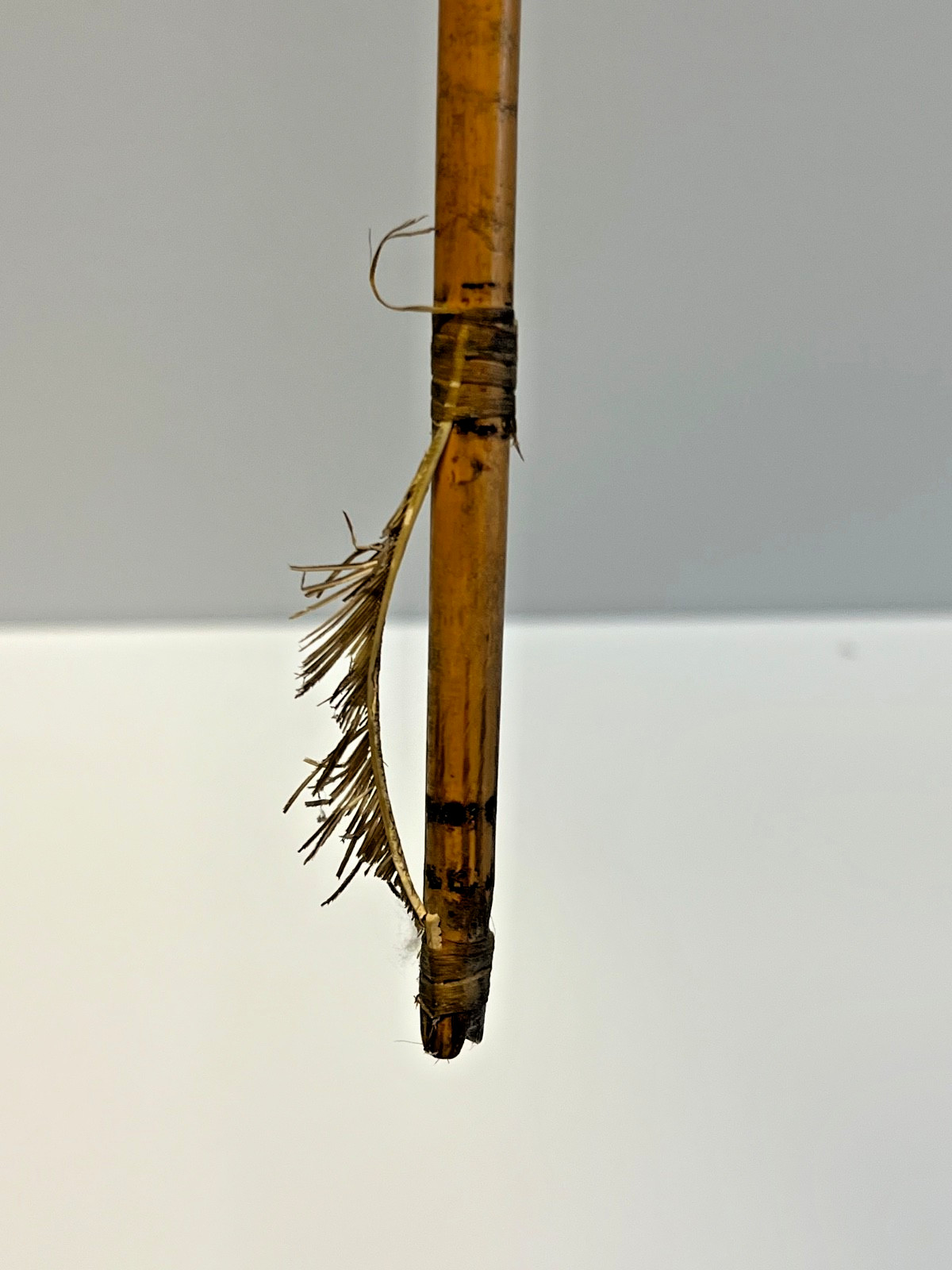 Original Native American Indian Arrow; Metal Tip; Feathers; Sinew; #E9