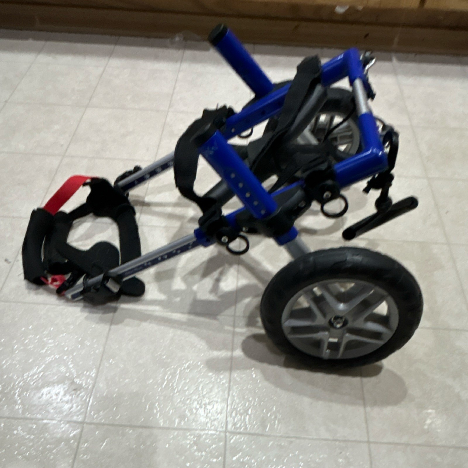Walkin' Wheels Dog Wheelchair Blue Mobility Aid