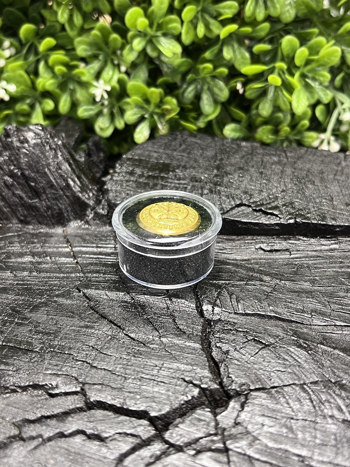 Old Rare Vintage Antique War Relic South Carolina Button Free Display Case