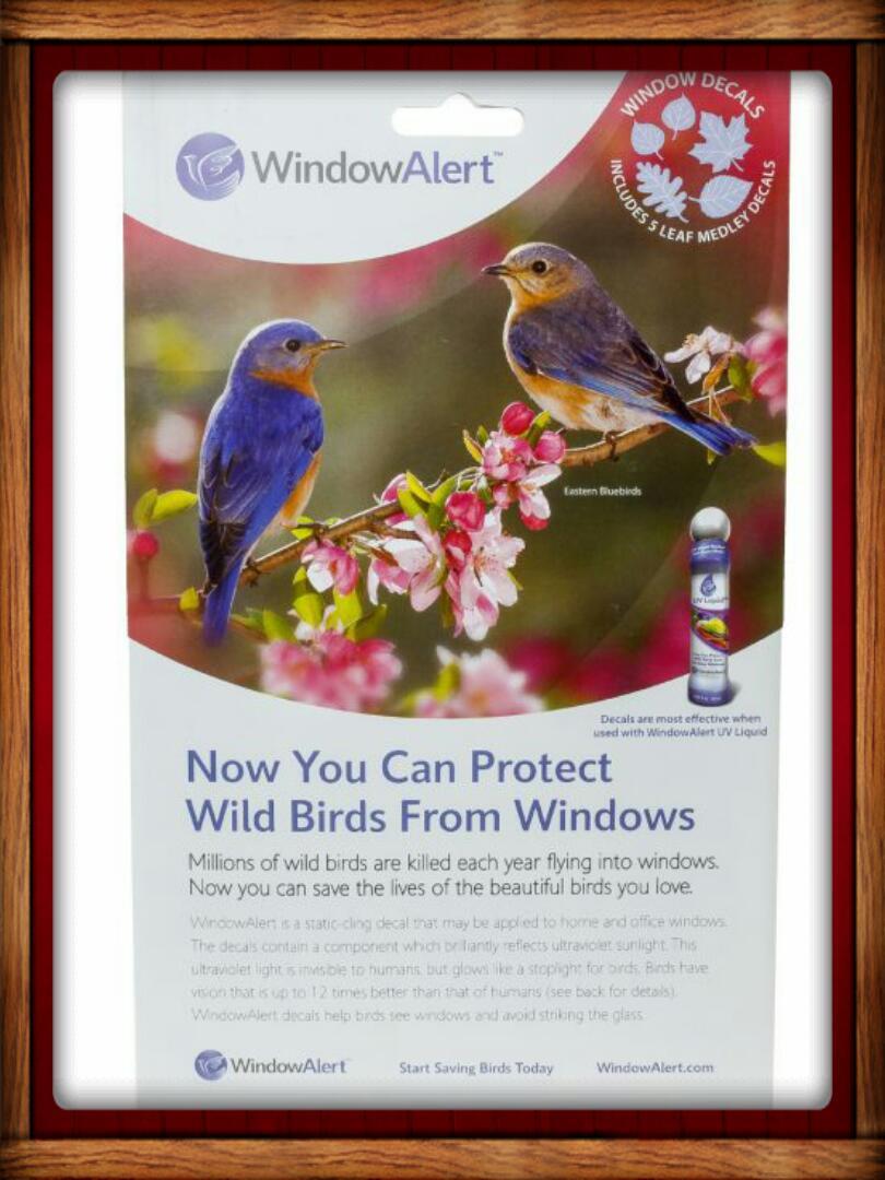 Window Alert ANTI-COLLISION CLINGS LEAF DECALS SAVE PREVENT BIRD WINDOW STRIKES