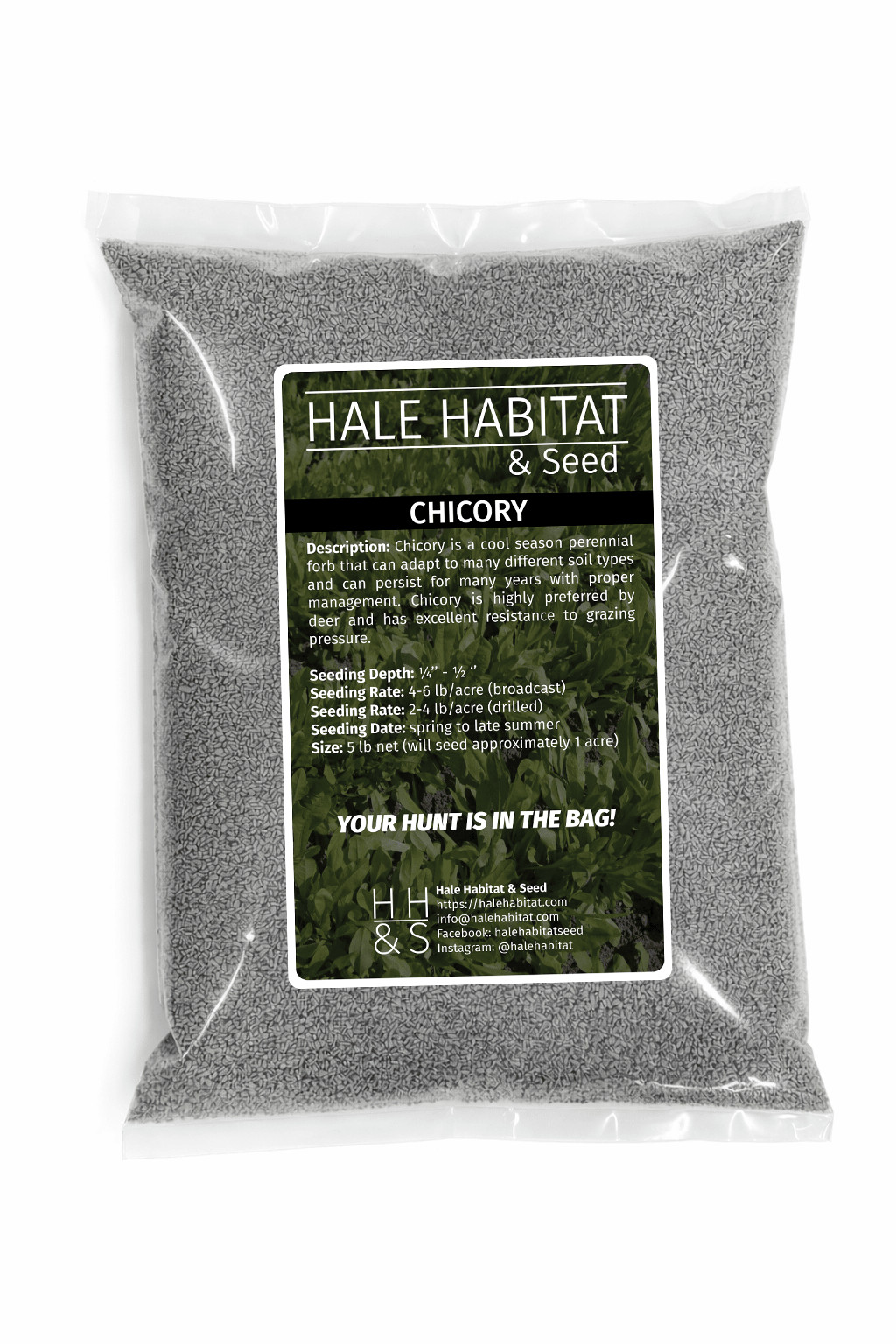Chicory Seed | Perennial Deer Wildlife Food Plot Forage Habitat Drought Tolerant