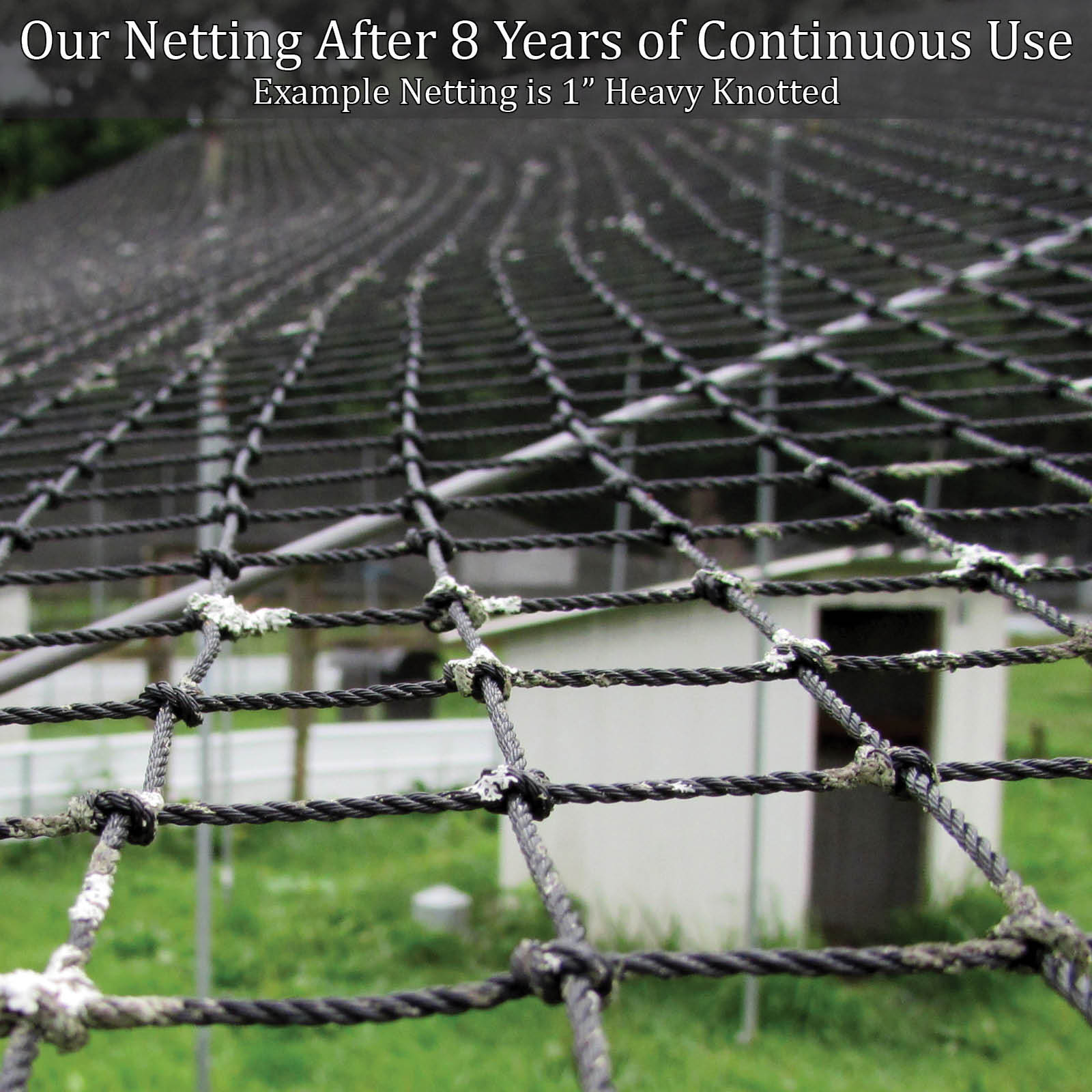 Poultry Netting 25' x 50' 1" Heavy Knotted Aviary Anti Bird Net Lasts 7-10 Years