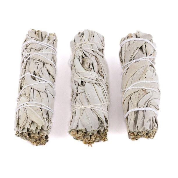 10 Pack 4 inch White Sage Smudge Sticks and Smudge Guide for Cleansing Spaces