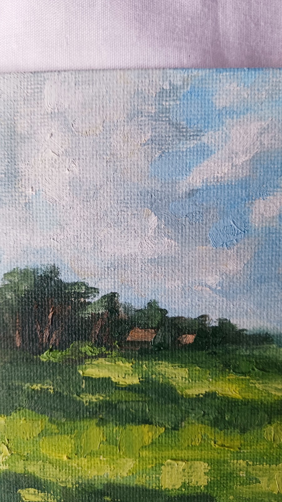 ORIGINAL Oil Painting Modern Impressionism Landscape Green Grass Sun Field 5"x7"