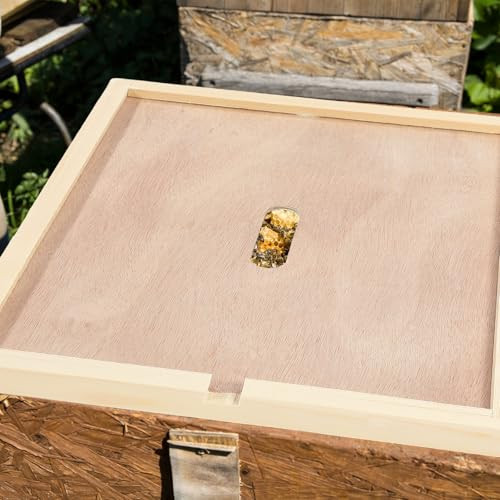 6 Pcs Beehive Inner Cover for 10 Frame Hive Box Cover with Feeding Hole