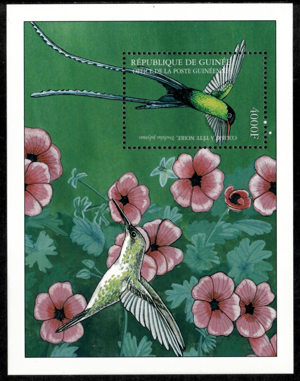 Guinea-Conakry 2002 - Hummingbirds - Souvenir Stamp Sheet - Scott #2047 - MNH