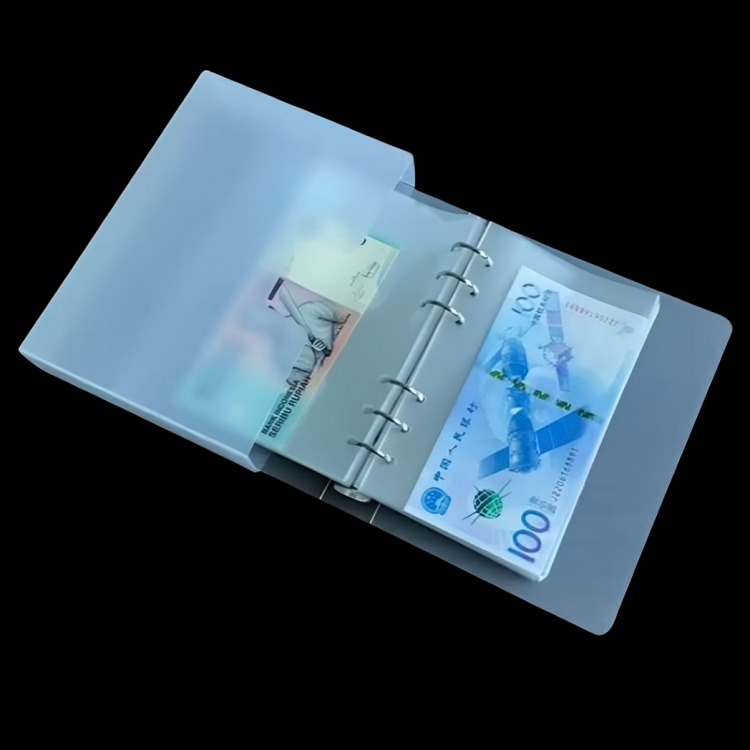 100 Pockets Dollar Bill Holders with Storage Album SleevesProtector Bag for Bill