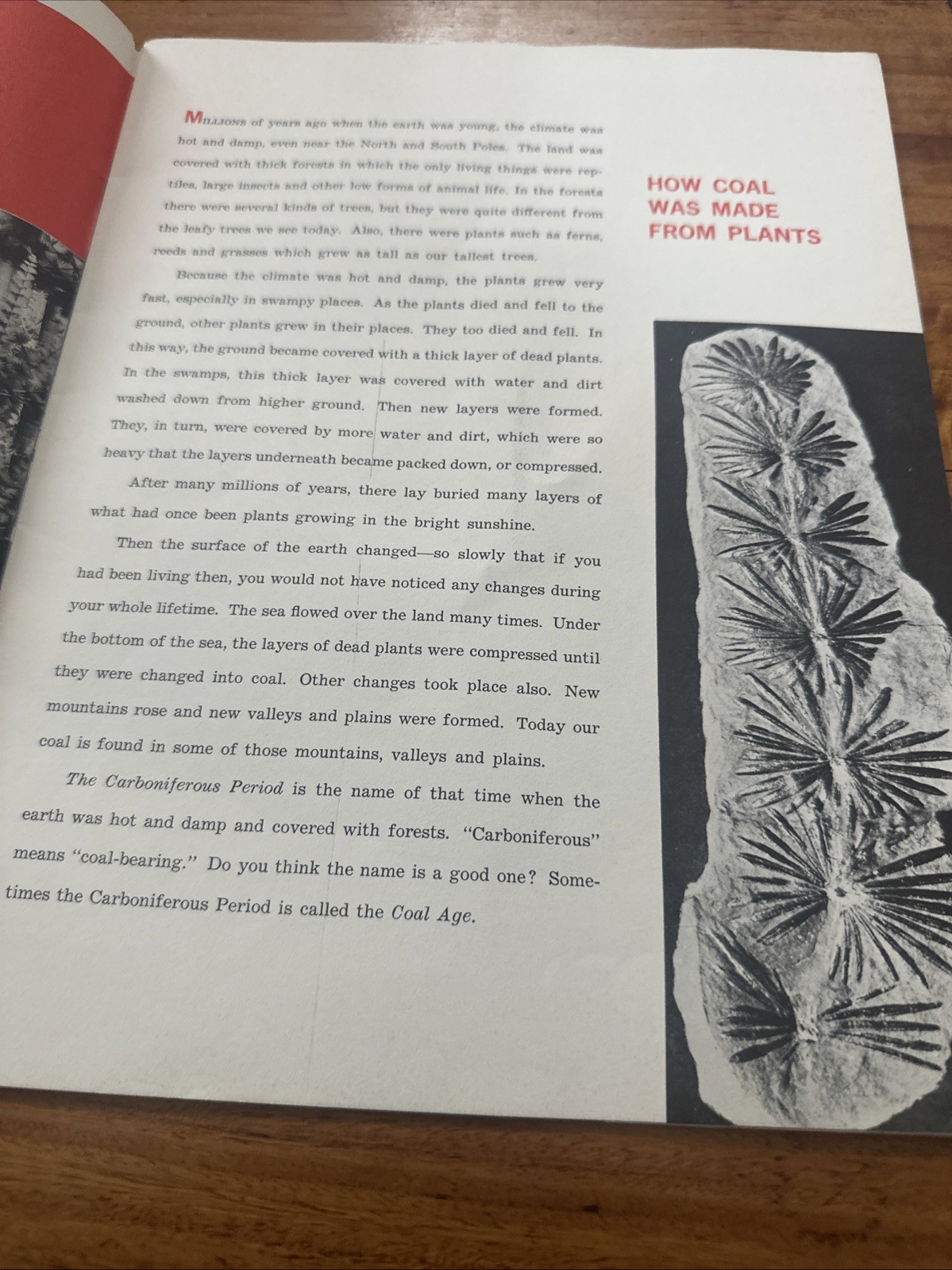 CLASS REPORT COAL by National Coal Association USA Vintage