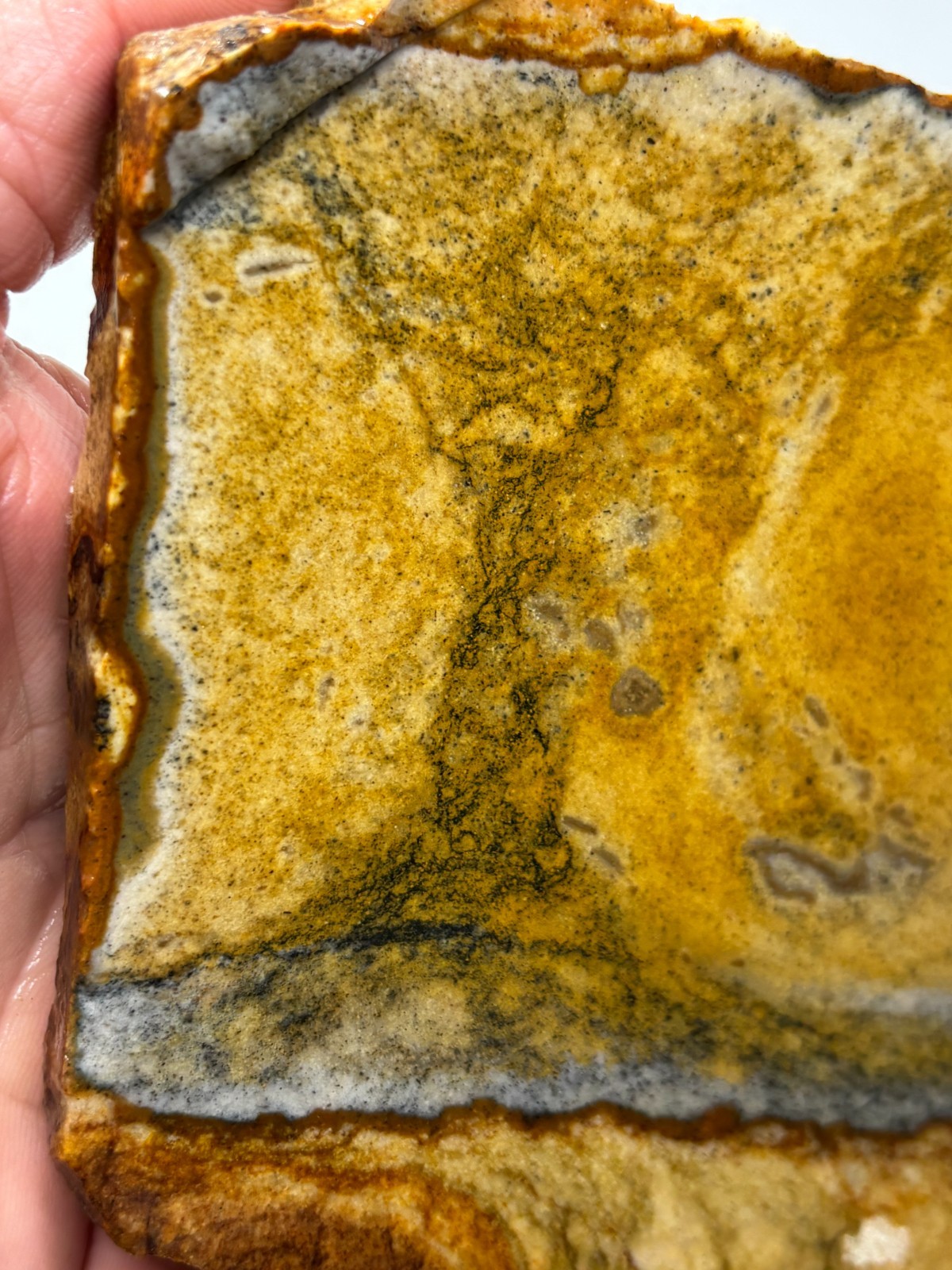 Disaster Peak Picture Jasper Slab Cabbing Lapidary Collecting Combo Ship Avail