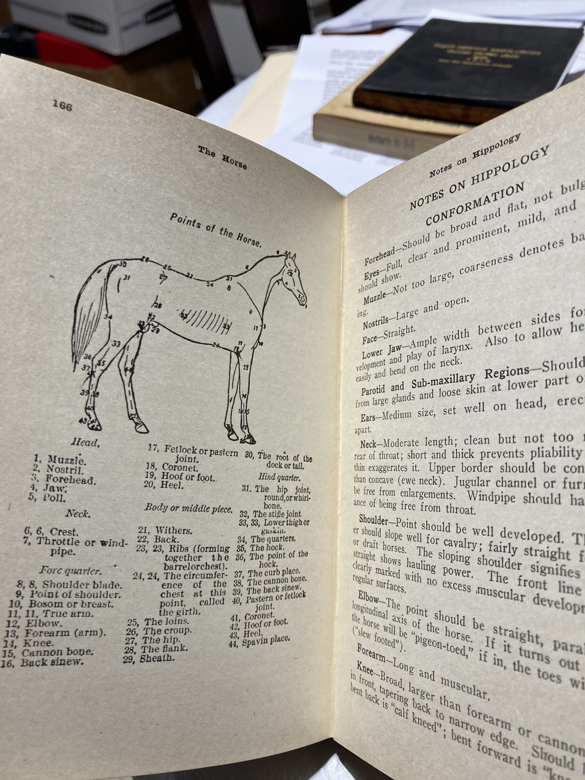 An Officer's Notes, Captain Ralph Parker U.S. Cavalry, C. 1917, 2nd Edition VTG