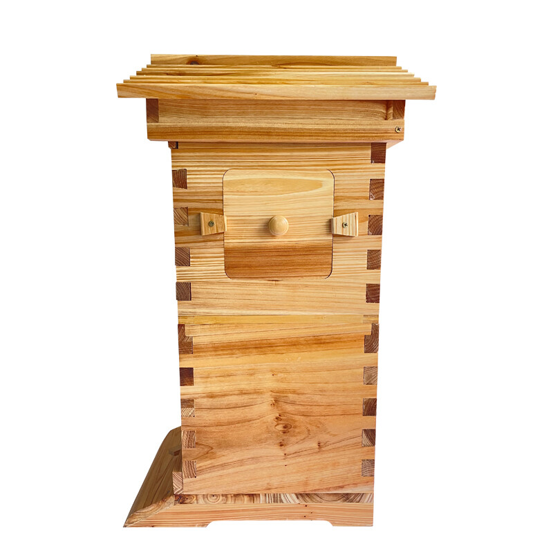 10X Auto Honey Hive Beehive Frames + Beekeeping Brood MINI 2 Layer Box House