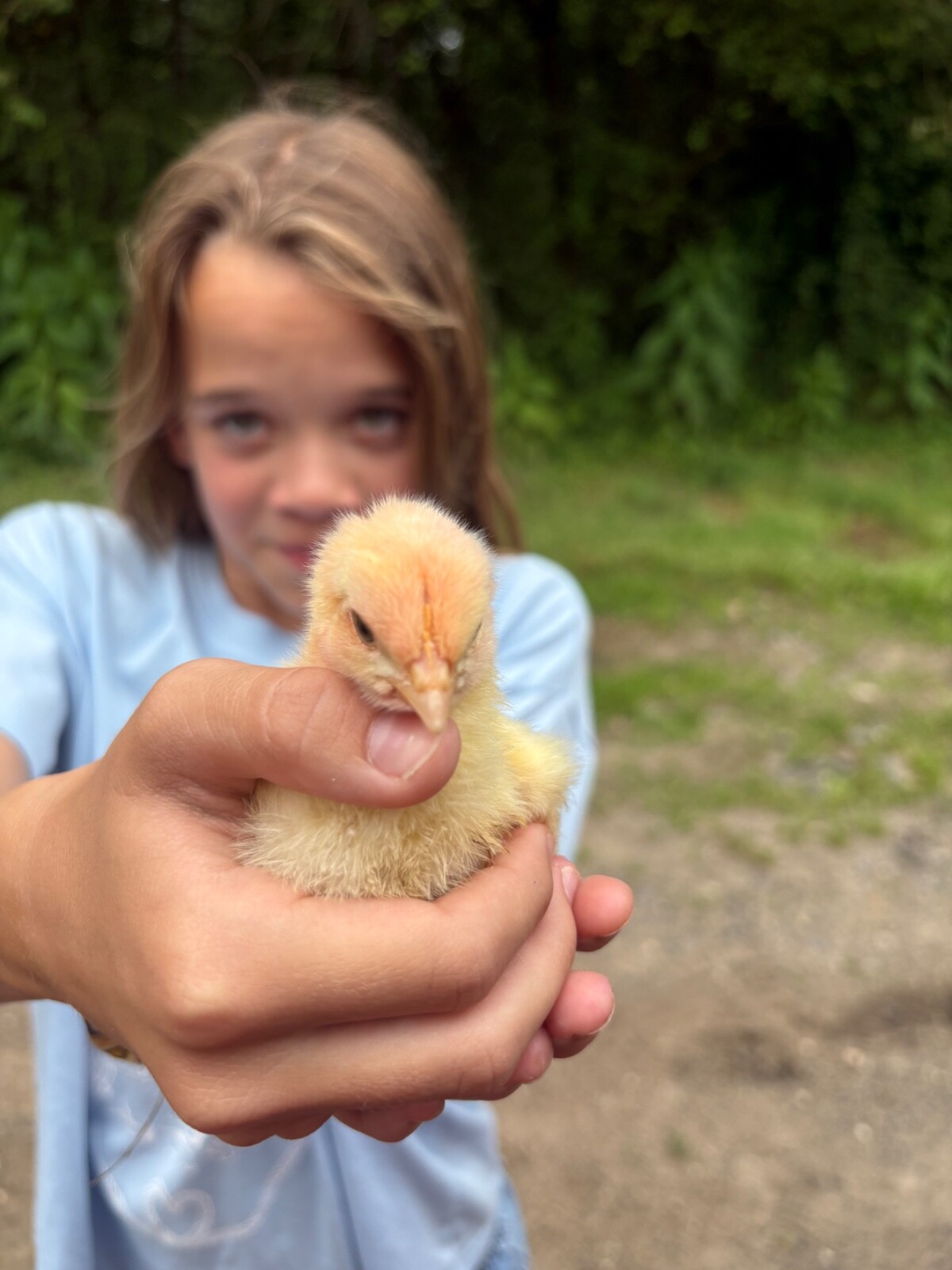 Mystery Farm Treasure – Real Surprise Item From a Small Family Farm!