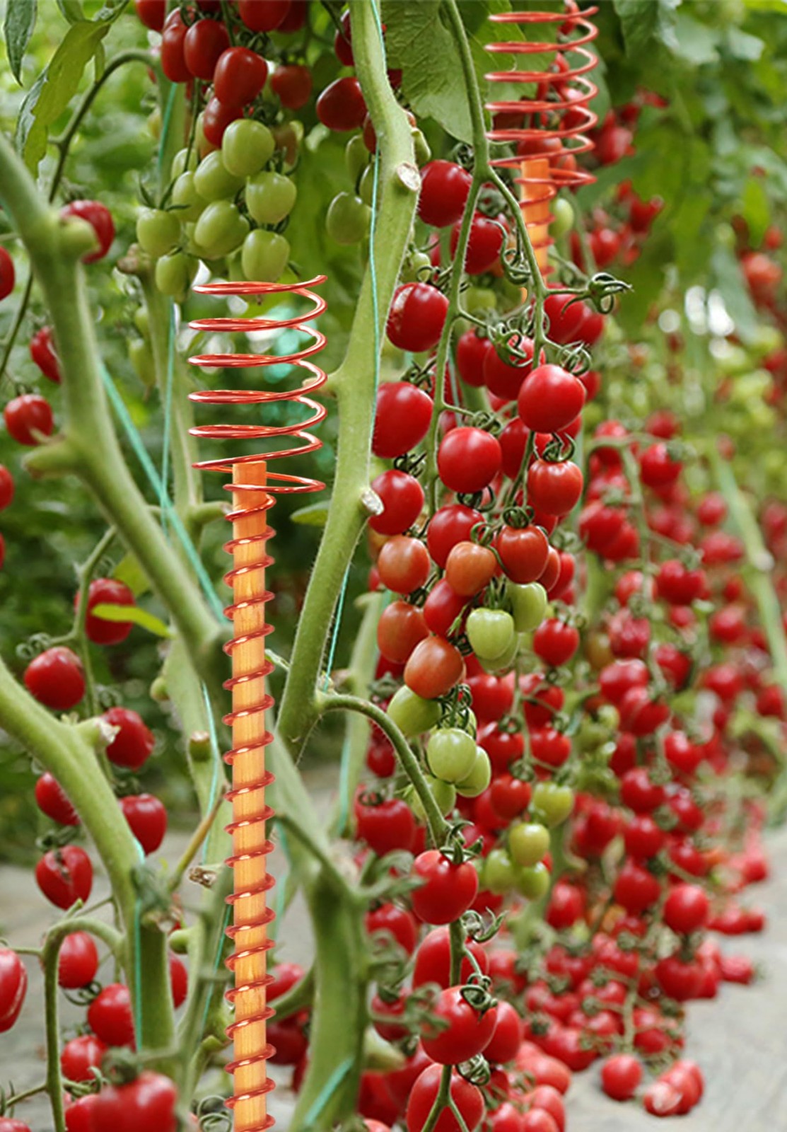 6 Pack 13" Copper Garden Stakes,Electroculture Copper Gardening Antenna, Elec...