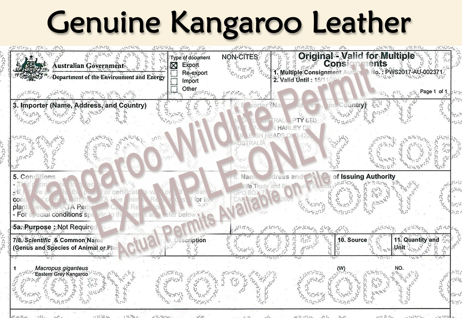 【oZtrALa】 Oiled KANGAROO Leather Hat Cowboy Western Outback Mens Golf AUSTRALIAN