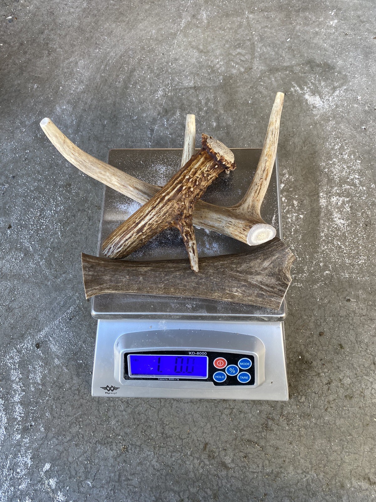 * Dog Chews * 1Lb Large Deer Antler Chews ~ All Natural, Organic HIGH QUALITY