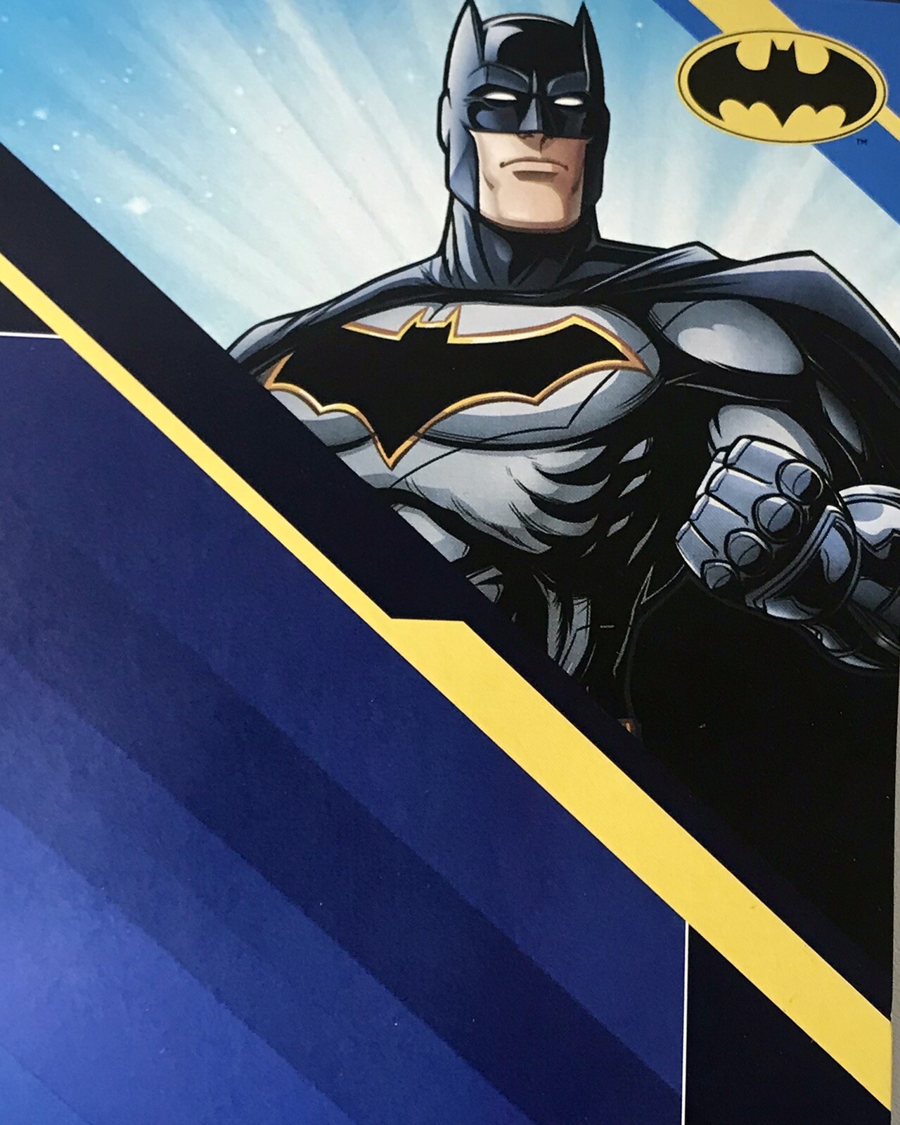 Rubies DC WB Batman Child Halloween Costume 3 Pieces Set Black Multiple Sizes