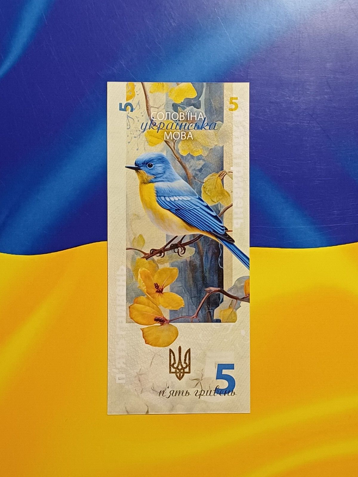 *Ukraine Souvenir banknote in FOLDER 5 Hryven 2023 UNC Ukrainian language