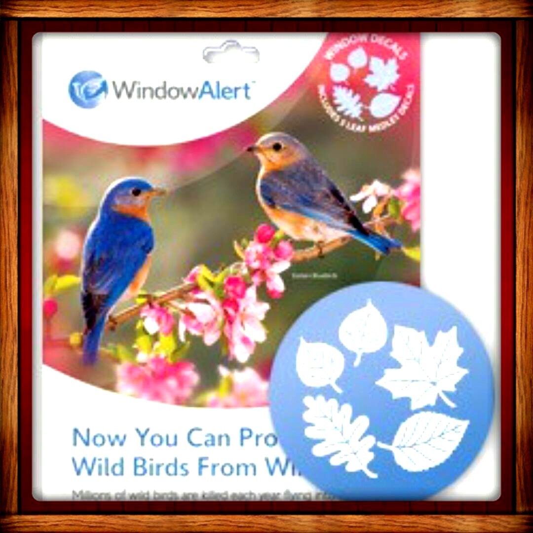 Window Alert ANTI-COLLISION CLINGS LEAF DECALS SAVE PREVENT BIRD WINDOW STRIKES