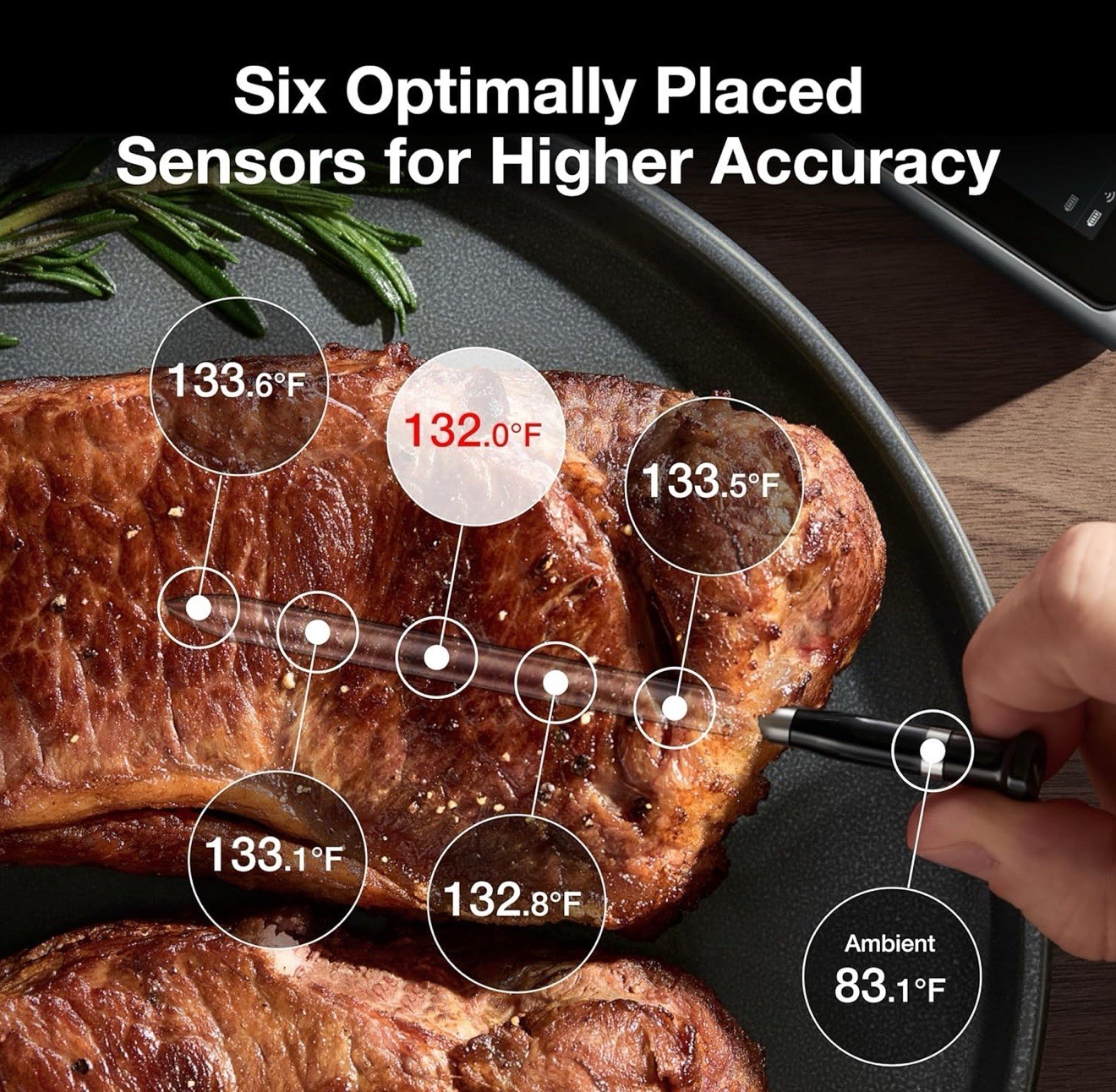 Typhur Sync Dual Wireless Meat Thermometer Probes BBQ Model WT03