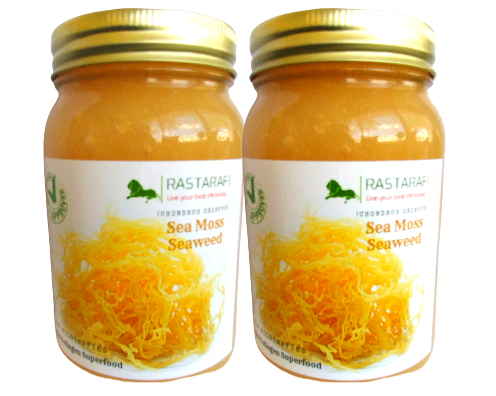 Rastarafi® Sea Moss Gel (Unflavored) Irish Moss | Raw Wildcrafted Superfood Gel