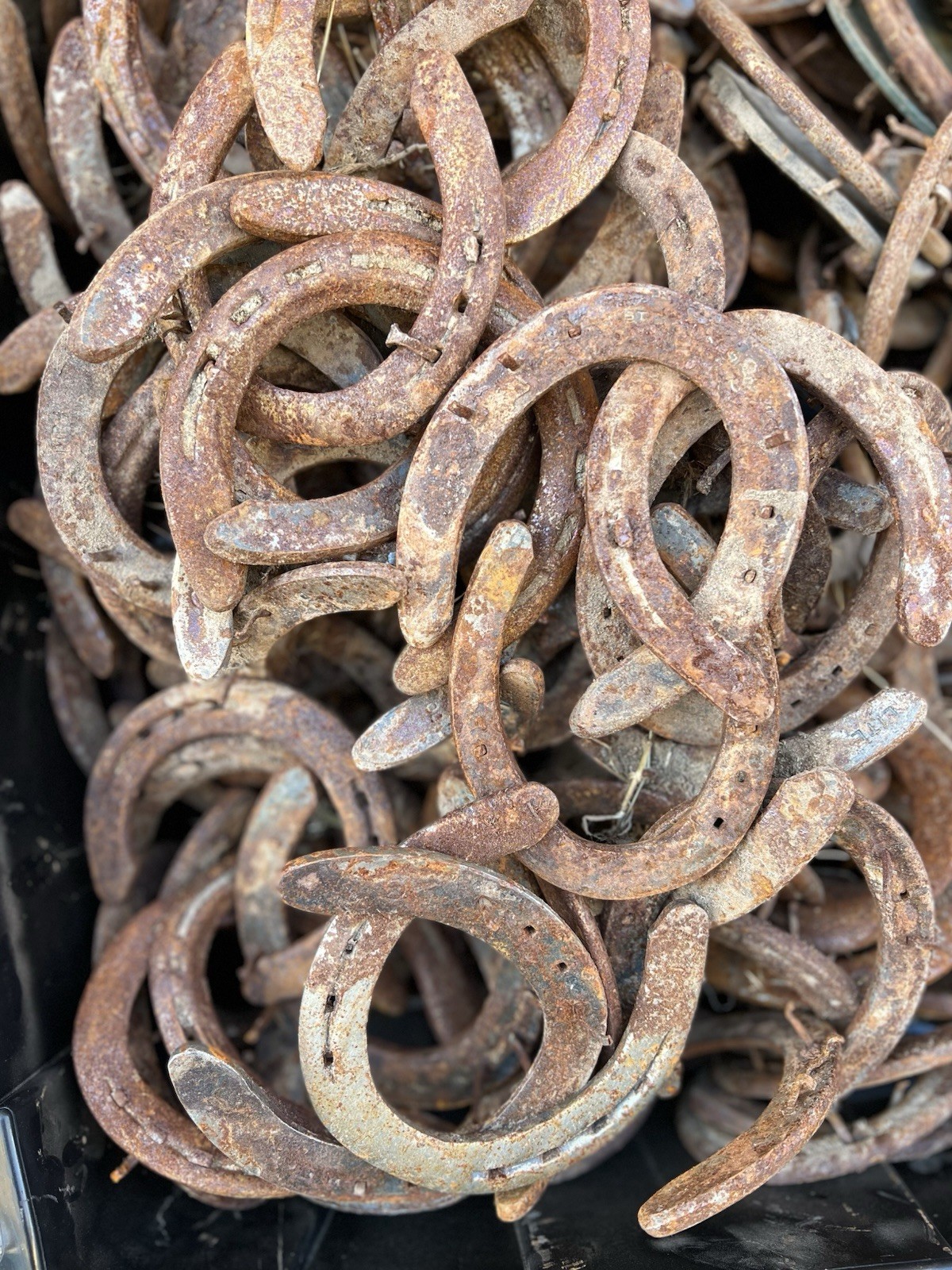 50 Used Steel Nevada Rusty Horseshoes W/Nails Lot Art Decor Rustic Western Weld
