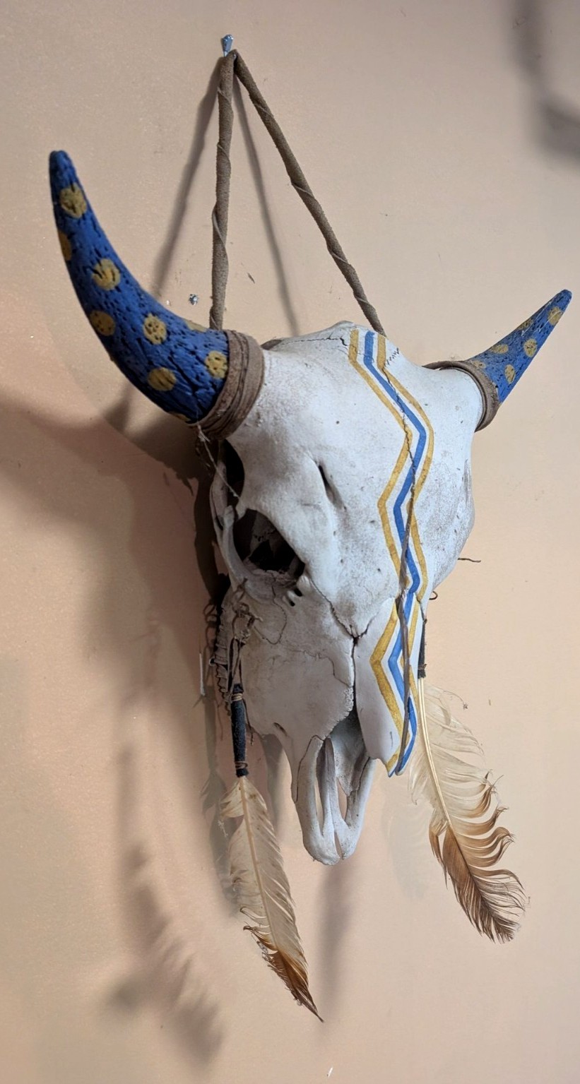 Native Hand Painted Buffalo Skull Blue And Yellow, Thunderbolts, Hung By Hyde