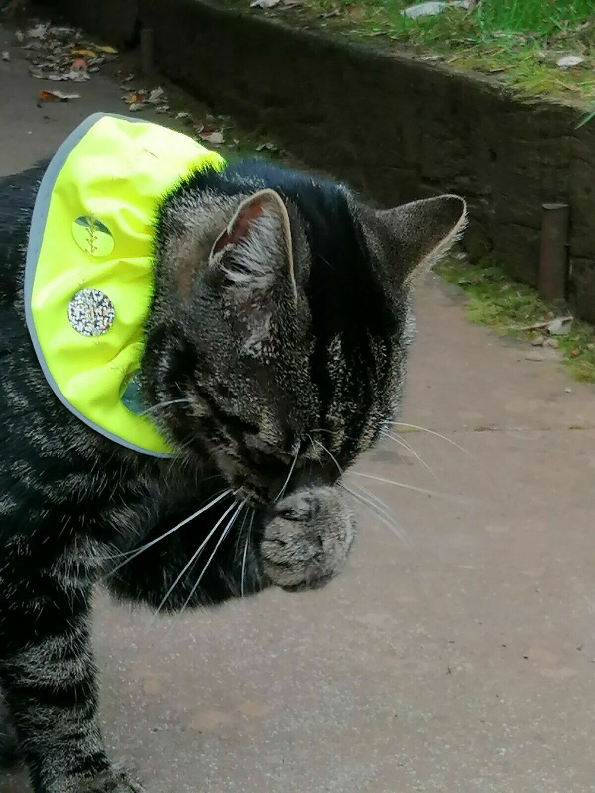 BIRD PROTECTOR Cat collar - WATERPROOF UNIQUE UVR DESIGN -save birds safe 4 cats