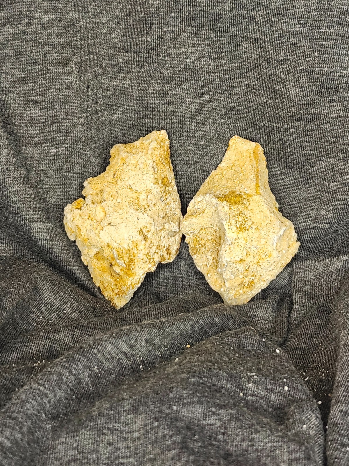 Florida Agatized Coral Fossil Pair, unpolished Chalcedony Fluorescent!