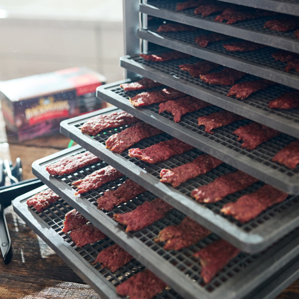 LEM Mighty Bite 10-Tray Dehydrator For Jerky Meat Vegetables Fruit 800W #1730